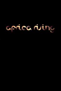 Africa Rising 2019 on netflix