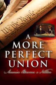 A More Perfect Union 1989 on netflix
