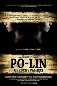Po-lin. Shards of Memory 2008 on netflix