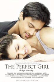 The Perfect Girl 2015 on netflix