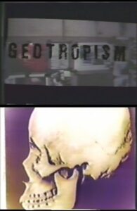 Geotropism 1984 on netflix