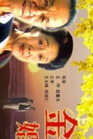 Golden Marriage 2000 on netflix