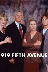 919 Fifth Avenue 1995 on netflix