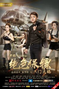 Stunning Bodyguard 2017 on netflix