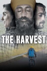 The Harvest 2017 on netflix