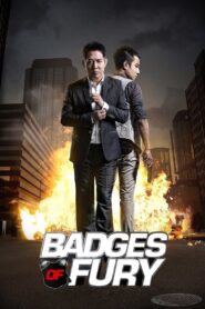 Badges of Fury 2013 on netflix