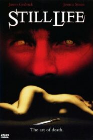 Still Life 1990 on netflix
