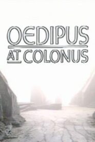 Theban Plays: Oedipus at Colonus 1986 on netflix