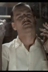 Heritage Minutes: Stratford 1997 on netflix
