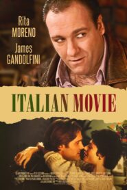 Italian Movie 1994 on netflix