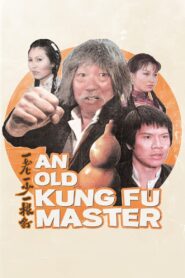 An Old Kung Fu Master 1981 on netflix