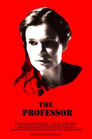 The Professor 2013 on netflix