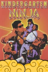 Kindergarten Ninja 1994 on netflix