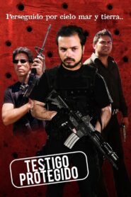 Testigo Protegido 2013 on netflix