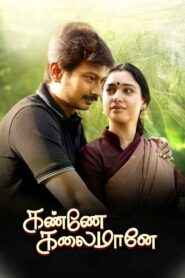 Kanne Kalaimaane 2019 on netflix