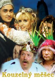 The Magic Book 1996 on netflix