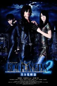 Black Angels 2 2012 on netflix