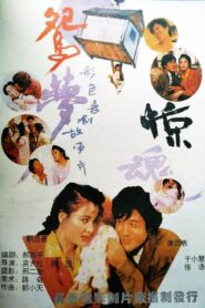 鸳梦惊魂 1993 on netflix