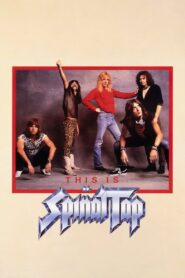 This Is Spinal Tap 1984 on netflix