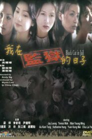 Black Cat in Jail 2000 on netflix