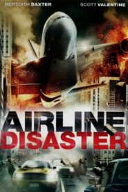Airline Disaster 2010 on netflix