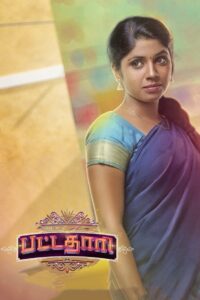 Pattathari 2016 on netflix