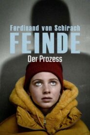 Ferdinand von Schirach: Feinde – Der Prozess 2021 on netflix