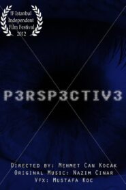 Perspective 2011 on netflix