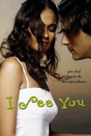 I See You 2006 on netflix