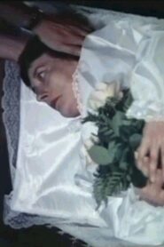 Gestatten, Bestatter 1986 on netflix