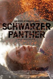 Black Panther 2013 on netflix