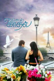 Engeyum Kadhal 2011 on netflix