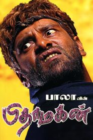 Pithamagan 2003 on netflix
