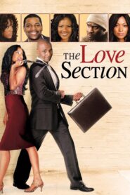 The Love Section 2013 on netflix