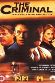 The Criminal 1999 on netflix