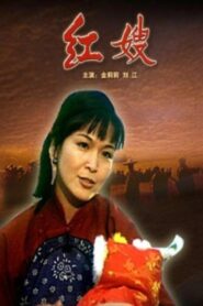 红嫂 1997 on netflix