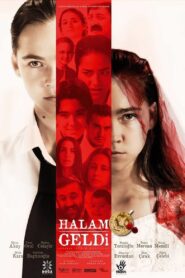 Halam Geldi 2014 on netflix