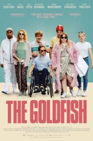 The Goldfish 2019 on netflix