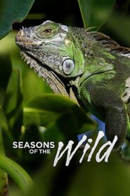 Seasons of the Wild 2015 on netflix