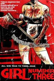Girl Number Three 2009 on netflix