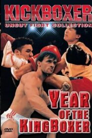 Year of the Kingboxer 1990 on netflix