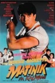 Matinik na Kalaban 1995 on netflix