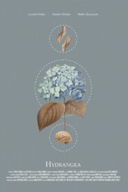 Hydrangea 2021 on netflix
