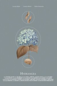 Hydrangea 2021 on netflix