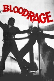 Bloodrage 1980 on netflix