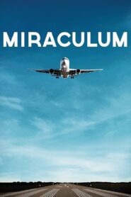 Miraculum 2014 on netflix