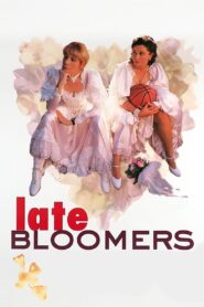 Late Bloomers 1996 on netflix