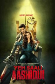 Yeh Saali Aashiqui 2019 on netflix