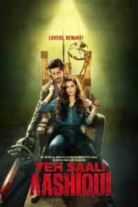 Yeh Saali Aashiqui 2019 on netflix