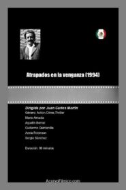 Atrapados en la venganza 1994 on netflix